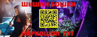 гашик Славгород