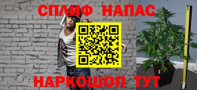 гашик Славгород