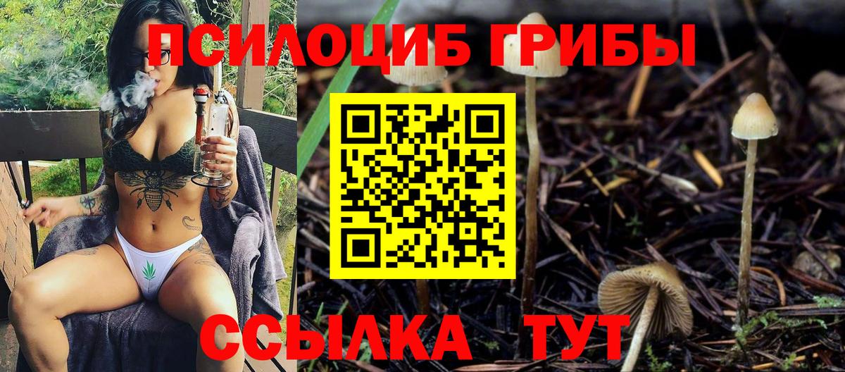 Псилоцибиновые грибы прущие грибы Новочебоксарск