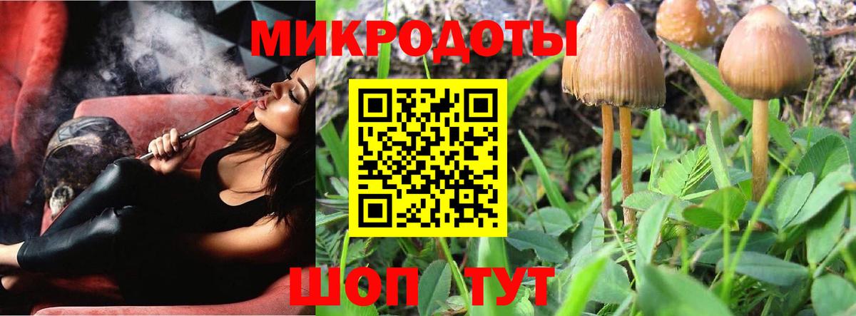 где купить наркоту  Галлюциногенные грибы Cubensis  Псилоцибиновые грибы GOLDEN TEACHER  Вход с VPN  Новочебоксарск 